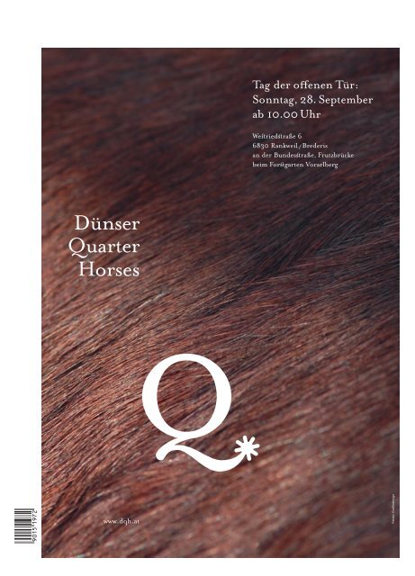 Dünser Quarter Horse Ranch - Dünser Quarter Horses