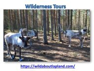 Wilderness Tours