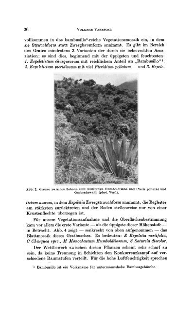 Zur Frage der Oberflächenentwicklung von Pflanzengesellschaften der Alpen und Subtropen - Vareschi 1951