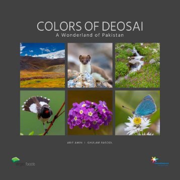 Colors of Deosai