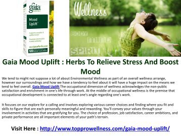  Gaia Mood Uplift : It can Improve Your Lifestyle As Well