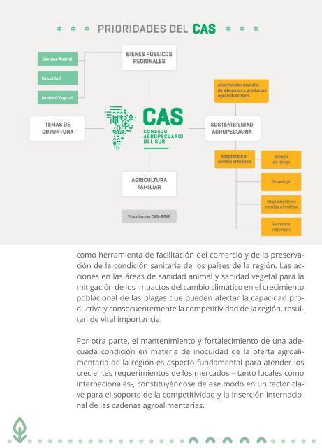 Publicacion CAS 15 años