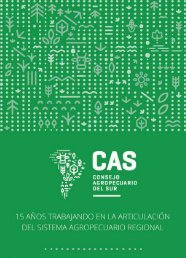 Publicacion CAS 15 años WEB