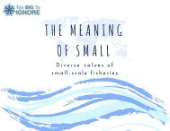 The Meaning of Small: Diverse Values of Small-Scale Fisheries