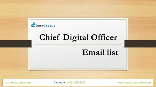 Chief Digital Officer Email List