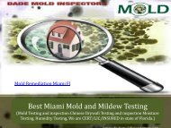 Best Miami Mold and Mildew Testing