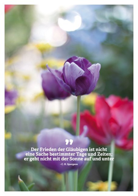 Timotheus Magazin #4 - Friede