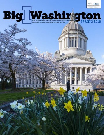 The Big I Washington Spring 2018