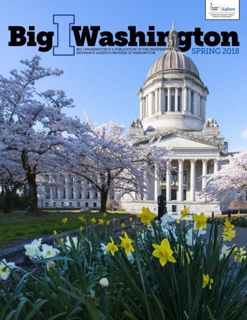 The Big I Washington Spring 2018