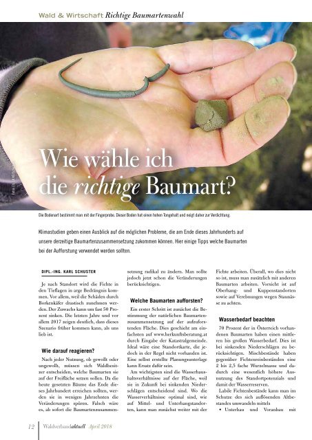 Waldverband Aktuell - Ausgabe 2018-02