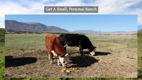 How to Start a Ranch