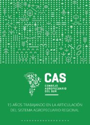 Publicacion CAS 15 años
