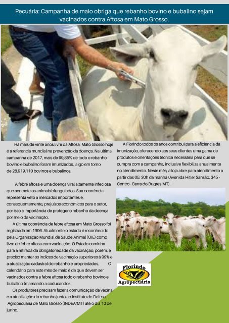 FLORINDO NEWS - 13 EDIÇÃO