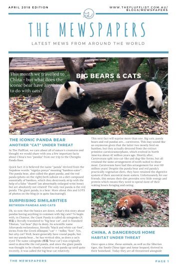 The Mewspapers - APRIL 2018