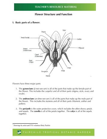 Flower Structure and Function