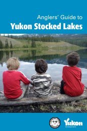 Yukon Stocked Lakes