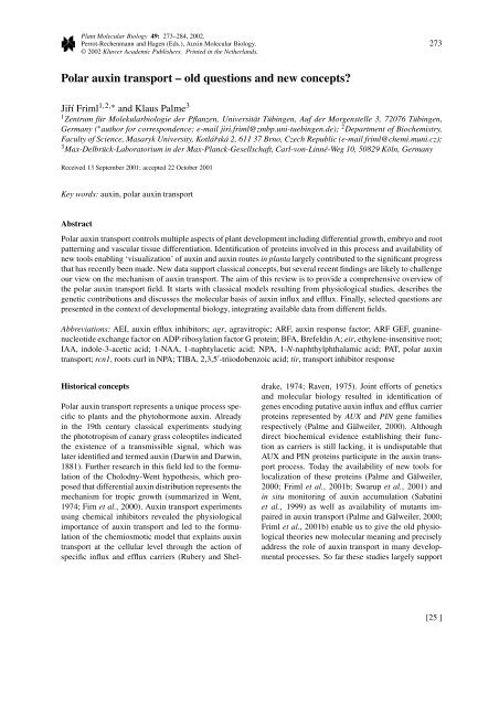 Polar auxin transport – old questions and new concepts?