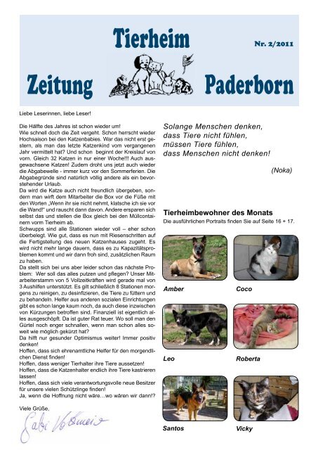 Die Hunde - Tierheim Paderborn