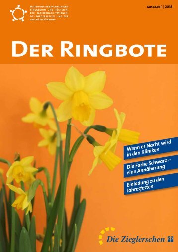 Ringbote 1-2018 neu 4