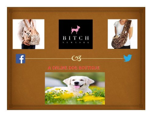 Dog Apparel &amp; Accessories from Renowned Designers