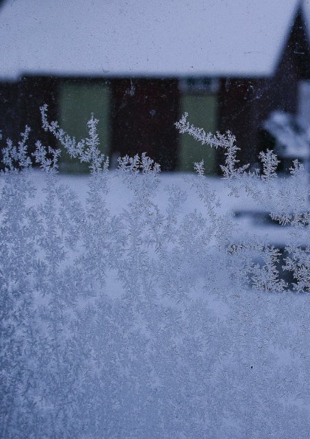 Winterruhe - Mit Achtsamkeit zum Glück