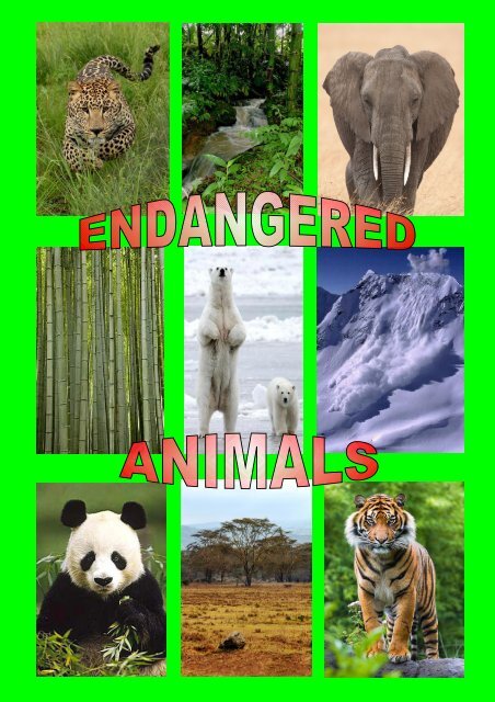 Revista - Endangered Animals