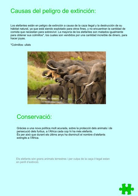 Revista - Endangered Animals