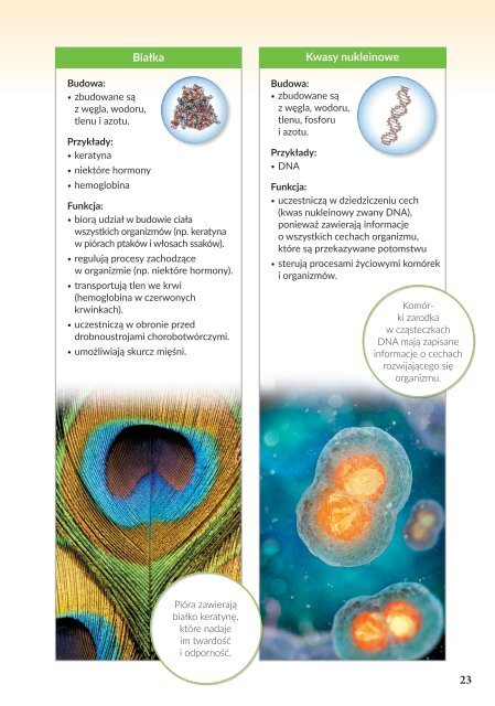 Biologia. Podręcznik klasa 5