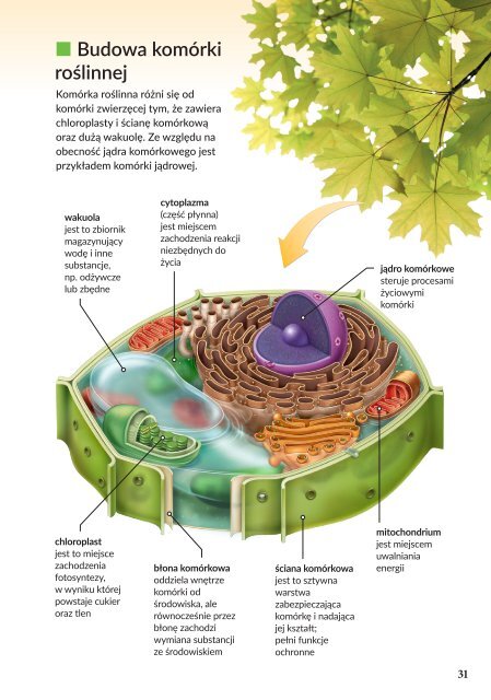 Biologia. Podręcznik klasa 5