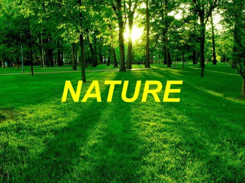 NATURE