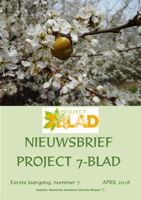 2018.04.01-PROJECT-7-BLAD-NIEUWSBRIEF-07