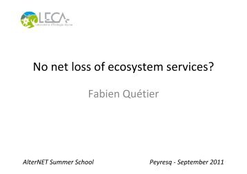 No net loss of ecosystem services?