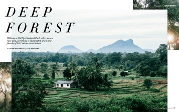 Deep Forest – Gal Oya National Park