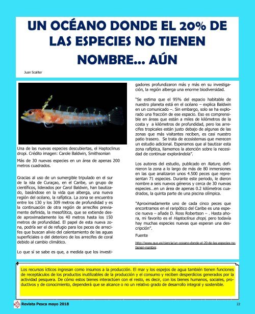 REVISTA PESCA MAYO 2018