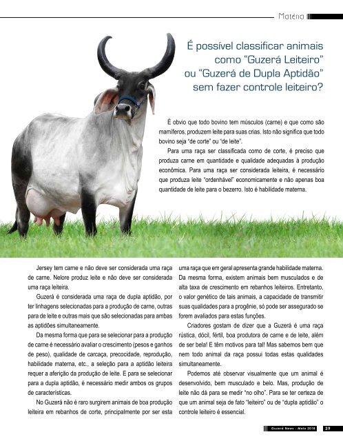 Revista Guzerá 2018