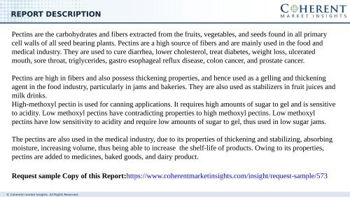 Pectin Market