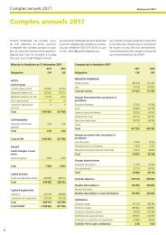 2017 Comptes annuels