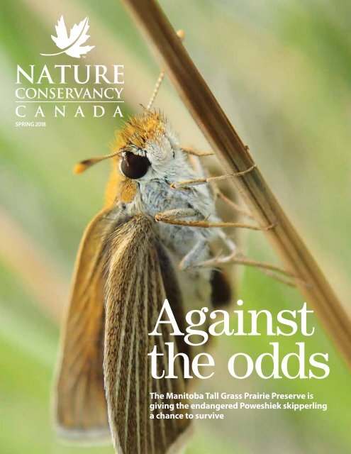Spring 2018 NCC Magazine