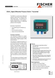 Functional Scheme DE46 Digital Differential ... - FISCHER Mess