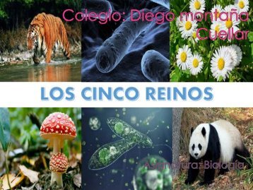 taller REINOS DE LA NATURALEZA grado 3ro