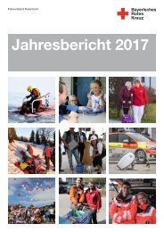 jahresbericht 2017 Druck