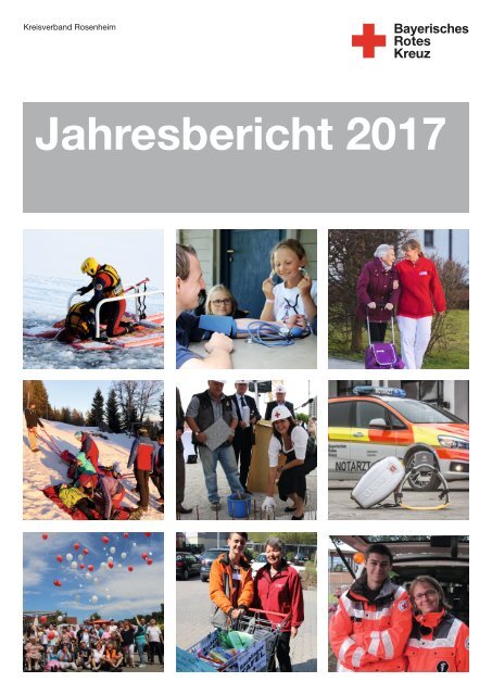 Jahresbericht 2017