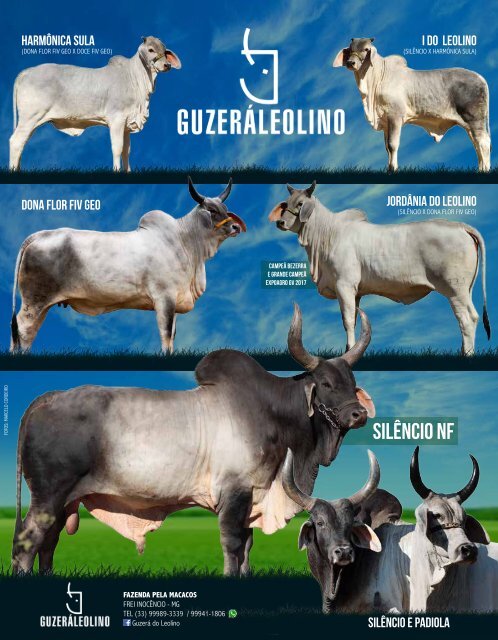 Revista Guzerá 2018