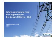 DLE - Hafslund Nett