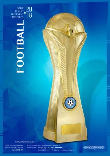 2018 Some Really Different Football Trophies