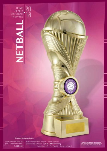 2018 Some Really Different Netball Trophies