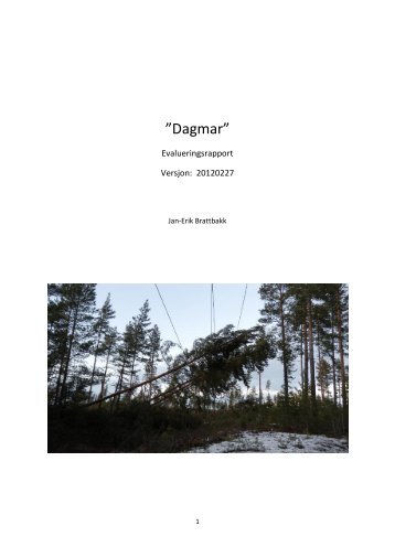 Dagmar” - Ringeriks-Kraft Nett