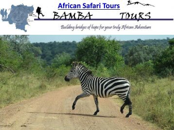 African Safari Tours