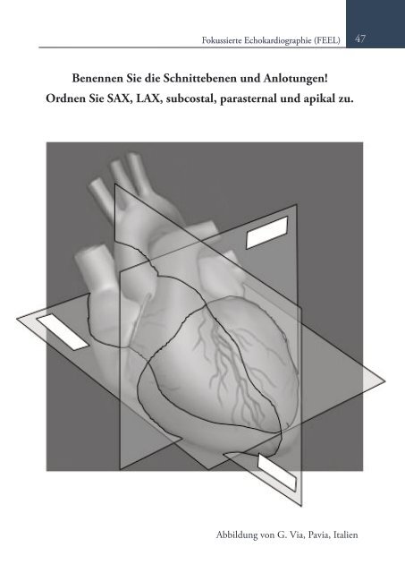 FEEL und Reanimationsultraschall, Fokussiertes Echo im Life Support. Ihr Einstieg? (Online Auflage).