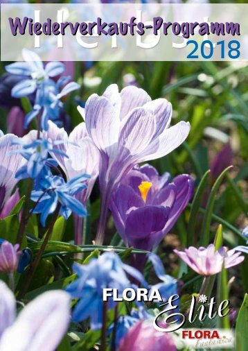 20 Botanische Tulpen mehrbl/ütigeWinnipeg Blumenzwiebeln